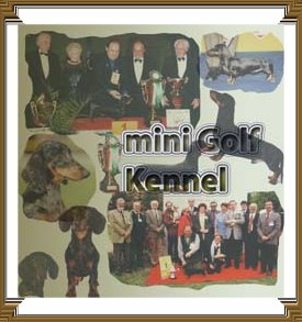 MINI GOLF KENNEL - Smoothhaired  Dwarf Dachshund Kennel